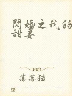 闪婚之我的惹火甜妻