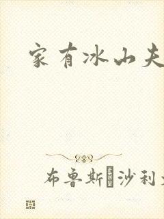 家有冰山夫