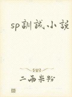 sp训诫小说