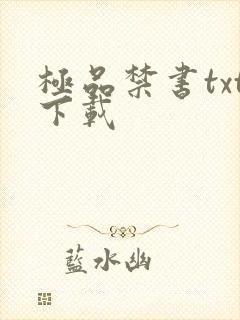 极品禁书txt下载