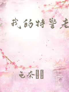 我的特警老婆
