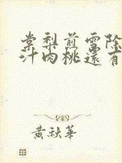 棠梨煎雪除了蜜汁肉桃还有什么肉