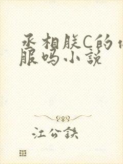 丞相朕C的你舒服吗小说