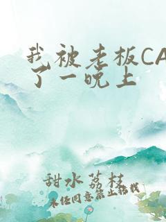 我被老板CAO了一晚上