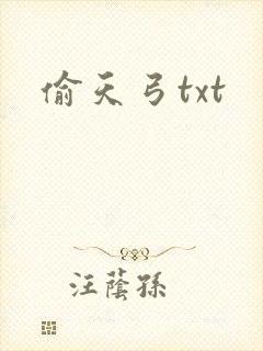 偷天弓txt
