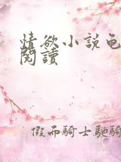 情欲小说龟全文阅读