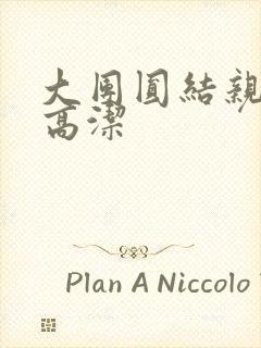 大团圆结亲情会高洁