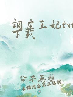 调皮王妃txt下载