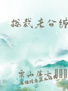 总裁老公缠上门