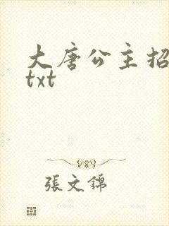 大唐公主招亲记txt