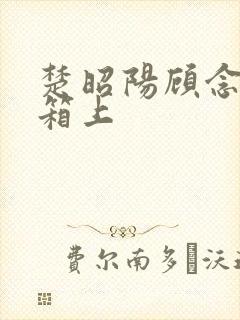 楚昭阳顾念在冰箱上