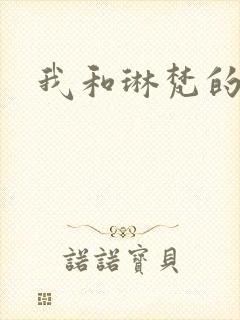 我和琳梵的故事