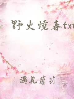 野火烧春txt