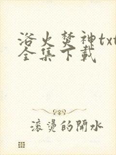 浴火焚神txt全集下载