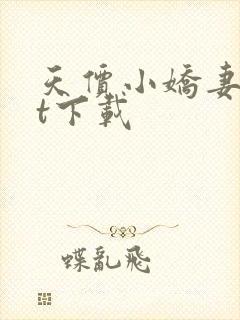 天价小娇妻txt下载