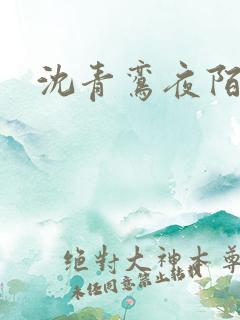 沈青鸾夜陌凌
