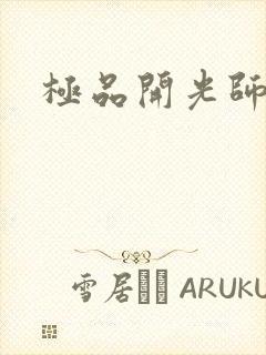 极品开光师阅读
