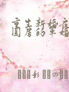 重生新婚夜正在圆房的军婚小说