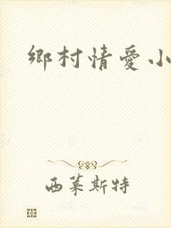 乡村情爱小说