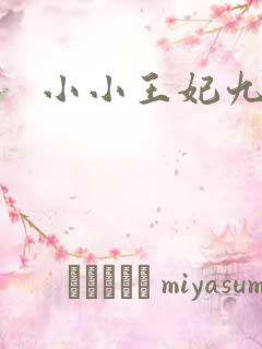 小小王妃九岁半