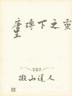 唐砖下之灵域双生