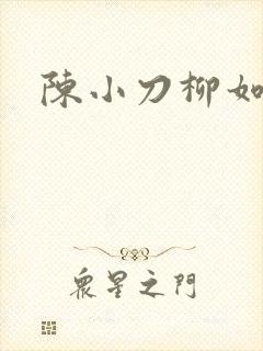 陈小刀柳如意