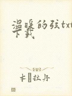温暖的弦txt下载