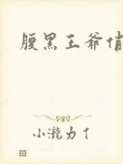 腹黑王爷俏医妃