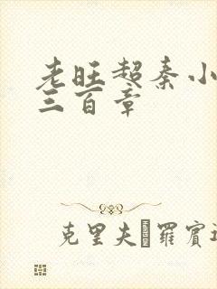 老旺超秦小雨第三百章