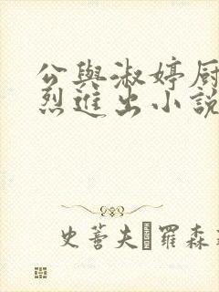 公与淑婷厨房猛烈进出小说