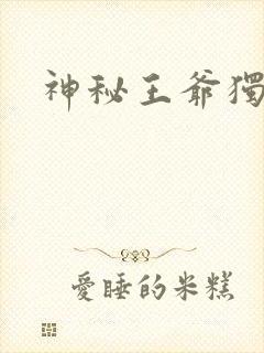 神秘王爷独宠妃