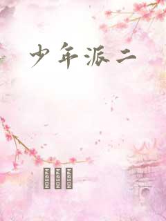 少年派二