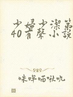 少妇少洁第1一40有声小说