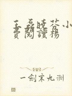 王磊晓芬小说免费阅读杨