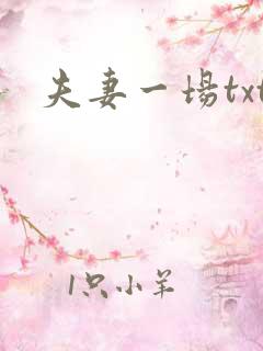 夫妻一场txt