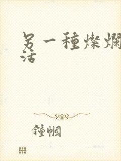 另一种灿烂的生活