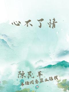 心不了情