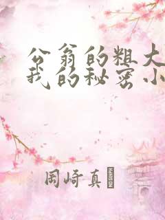 公翁的粗大放进我的秘密小说