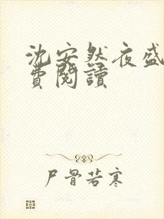 沈安然夜盛霆免费阅读