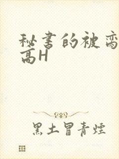 秘书的被脔日常高H