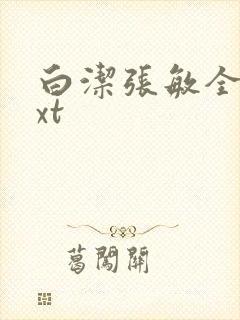 白洁张敏全集txt