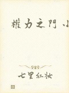 权力之门 小说
