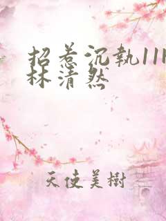 招惹沉执11H林清然