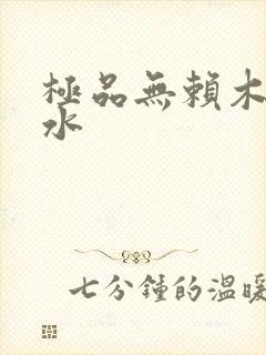 极品无赖木石山水