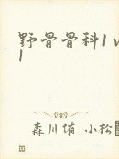 野骨骨科1 v1
