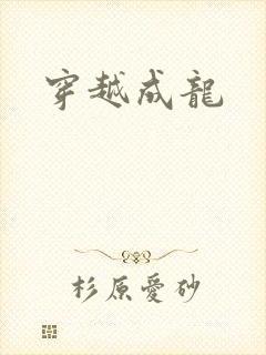穿越成龙