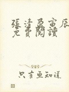 张清盈寅辰小说免费阅读