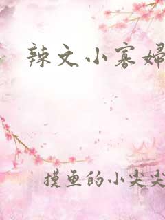 辣文小寡妇