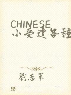 CHINESE小受遭各种打桩