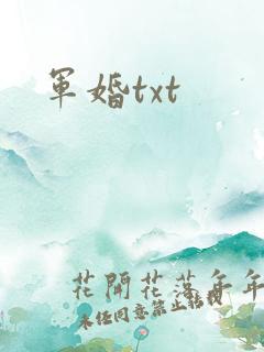 军婚txt